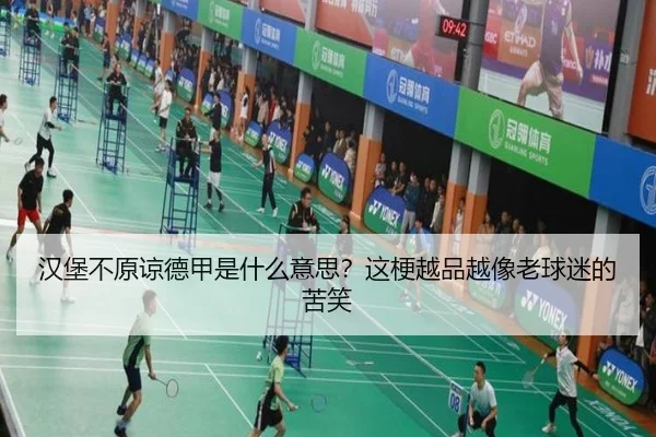 汉堡不原谅德甲是什么意思？这梗越品越像老球迷的苦笑