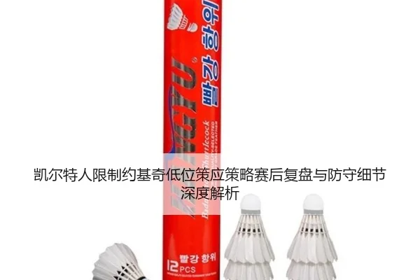 凯尔特人限制约基奇低位策应策略赛后复盘与防守细节深度解析